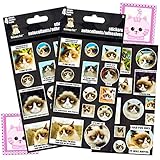 Grumpy Cat Stickers Party Favor Pack (Over 50 Stickers, 4 Sheets)