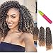 8 10 12 Inch 3pc/pack Kinky Curly Twist Crochet Braids Mali Bob Afro Crochet Hair Ombre Crochet Braiding Marleybob Jerry Curly Weaves 3Packs (T27)