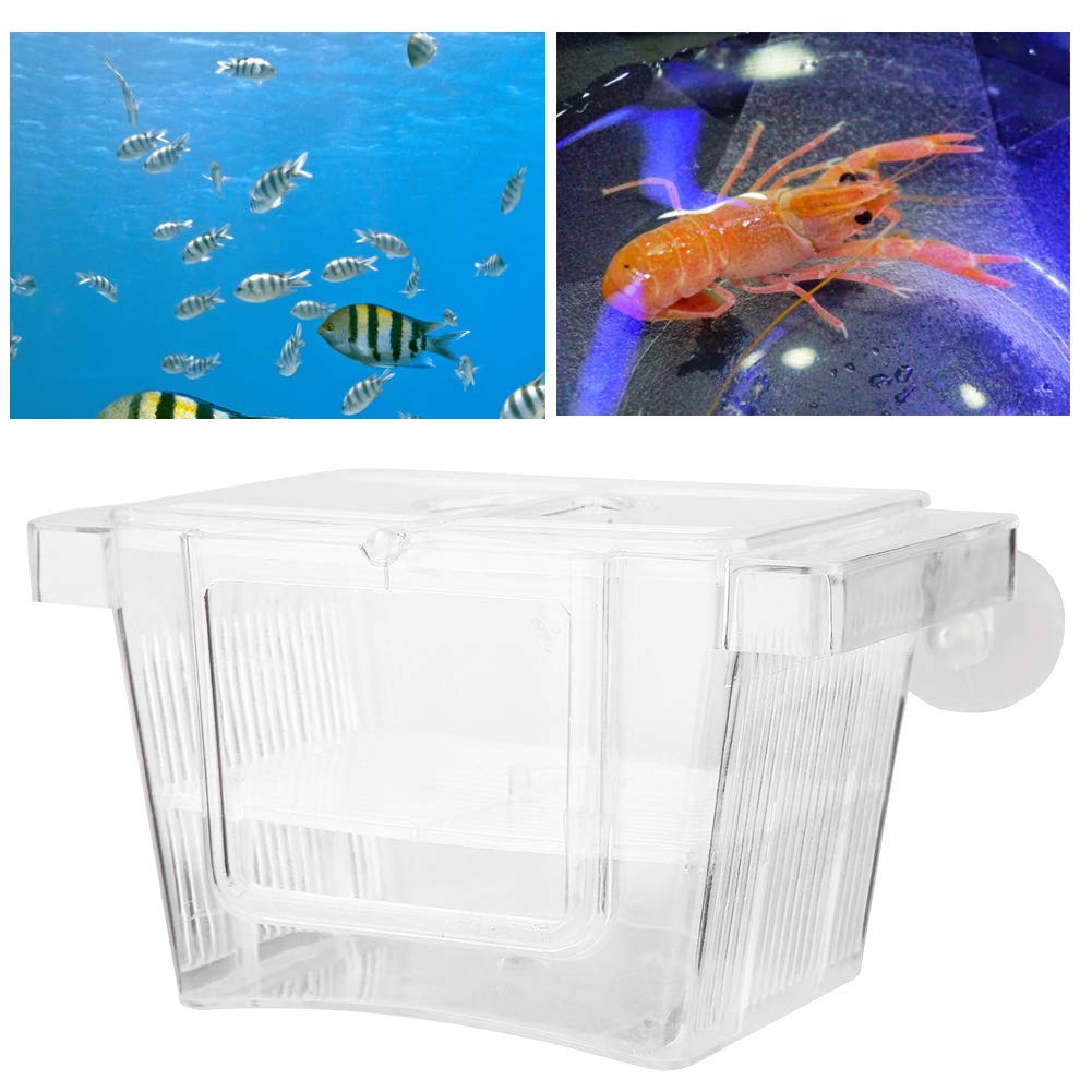 Pssopp Acrylic Fish and Shrimp Breeder Box for Aquarium - Multifunctional Isolation and Hatching Incubator