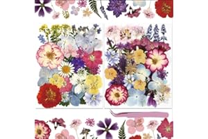 NATISERAUM 70Pcs Dried Pressed Flowers for Crafts, Natural Dry Flowers with Tweezer for Scrapbooking DIY Art Crafts, Epoxy Re