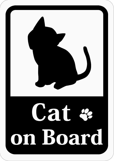 cat on board