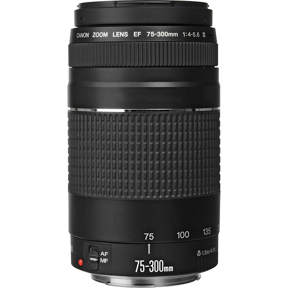 Canon EOS 80D DSLR Camera with 18-135mm is STM Lens & 75-300mm III