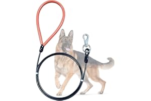 MI METTY Heavy Duty Dog Leash, Chew Proof Metal Leash for Large Dogs (Up to 250lbs), 5ft WireRope Dog Leashes with Soft Silicone Grip,Black