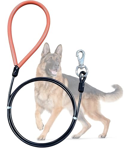 Hamilton Hundeleine Mit Kette & Nylon-Griff – 122 Cm, 2,0 Mm Stahl, Robuster Schnappverschluss