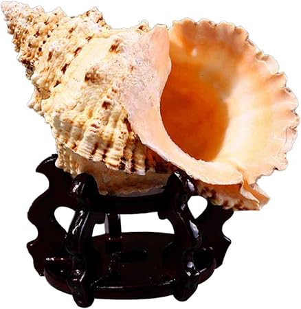 Get Decorations de mariage a linterieur de la plage For Free