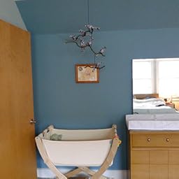 seed organic bassinet