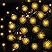 Qedertek 2 Pack Chuzzle Ball Solar String Lights, 15.7ft 20 LED Lights for Indoor/Outdoor, Home, Lawn, Garden, Wedding, Patio, Party, and Holiday Decorations (Warm White)