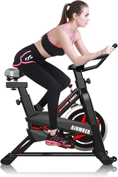 professional stationary bike