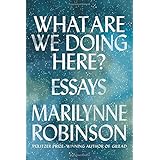 What Are We Doing Here?: Essays