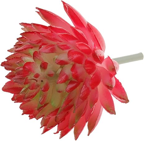 Amazon Sononia 2個 人工観葉植物 プラスチック製 ジューシー タッチ エケベリア 花 葉 装飾 オフィス ホーム インテリア ピンク 緑 人工観葉植物 オンライン通販