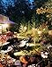 Lithonia Lighting OFLR 9LN 120 P BZ Integrated LED 3-Light Outdoor Security Flood Light with Dusk to Dawn Photocell,Round, Black Bronze