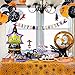 Halloween Party Decorations for Kids - Halloween Party Supplies Set - 91 Pieces(Serves 16) Includes Happy Halloween Banners Witch Balloons Tablecloth Plates Napkins Cups Straws