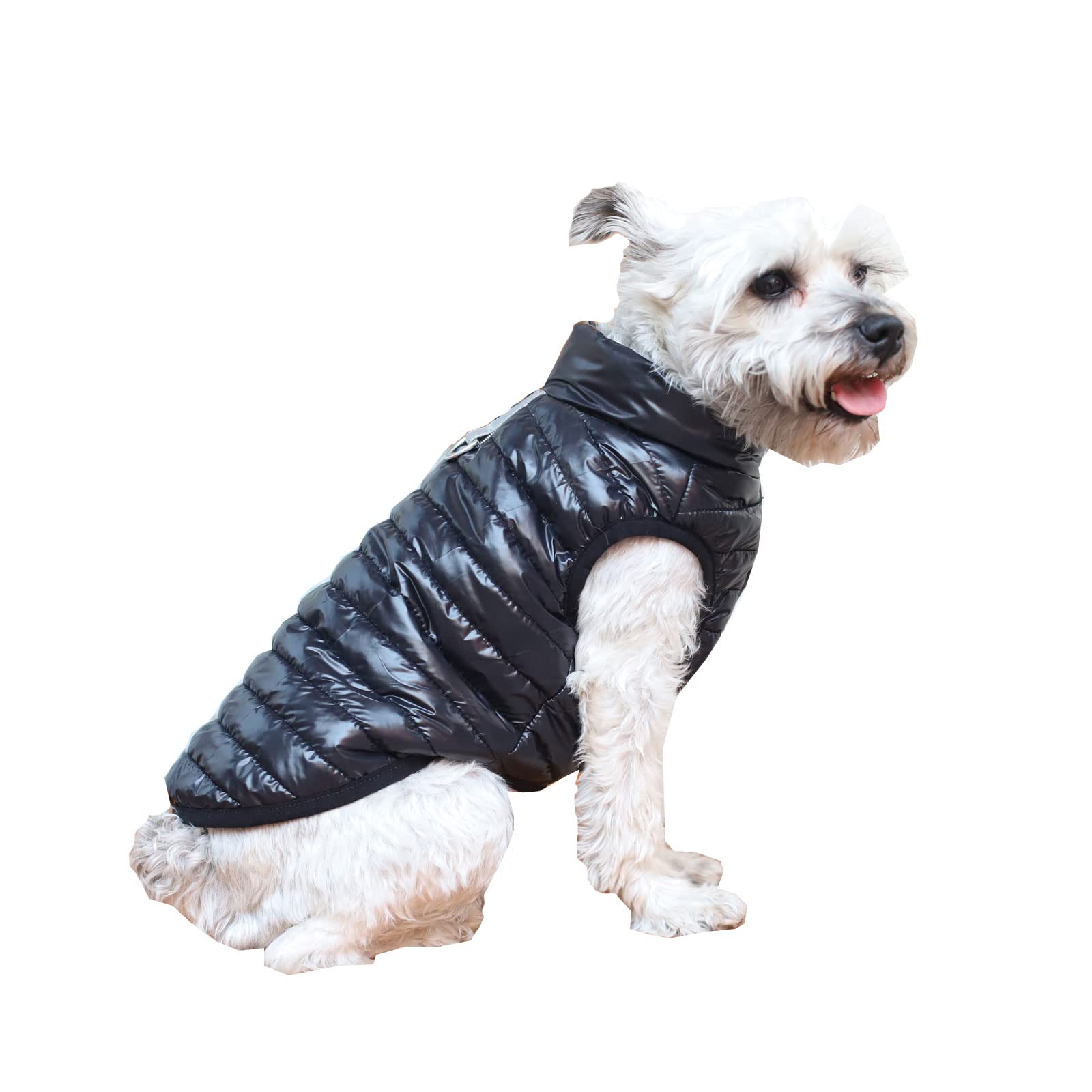 BT Bear Dog Winter Coat with D Ring,Super Light Small Dogs Warm Coat Zip Waterproof Pet Cat Warm Jacket Vest Apparel for Puppy Small Dogs(S,Black)
