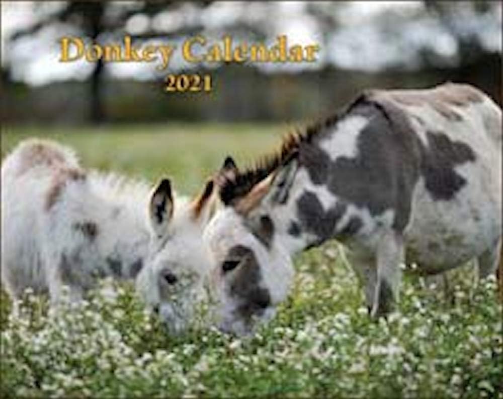 Mischka Press 2021 Donkey Horse Calendar
