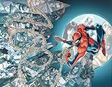 Amazing Spider-man #700 Ramos Variant Retailer Incentive Final Issue