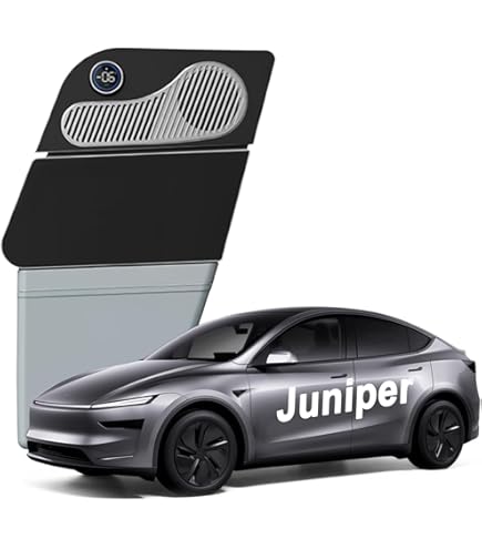 Amazon.com: Tlyard Tesla Model Y Car Refrigerator, 22°F Cooling