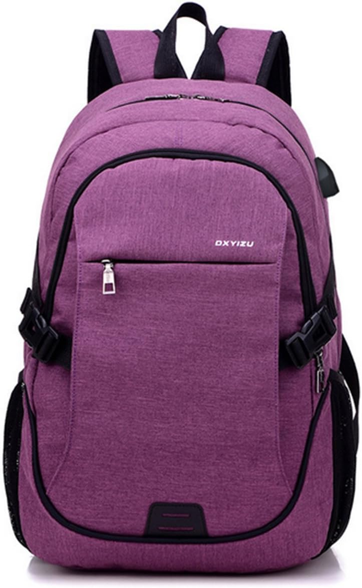Laptop Backpack,Lupan Business Waterproof Laptop Notebook Backpack with USB Charging Port and Lock, College School Travel Bag for Men Women (Purple)
