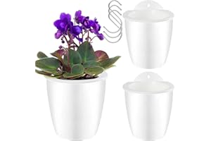 Oliz Self Watering Wall Planters for Indoor Plants with Water Reservoir, Easy to Water and Install, Lightweight, Vertical Plant Pots for Indoor Plants, Set of 3 - Plants Not Included