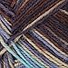 Red Heart Heart and Sole Yarn, Lakehouse