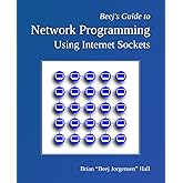 Beej's Guide to Network Programming: Using Internet Sockets