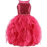Galluria Tutu Dress for Girls Birthday Dress Princess Sparkly Sequin Tulle Toddler Fairy for Fancy Party Outfit