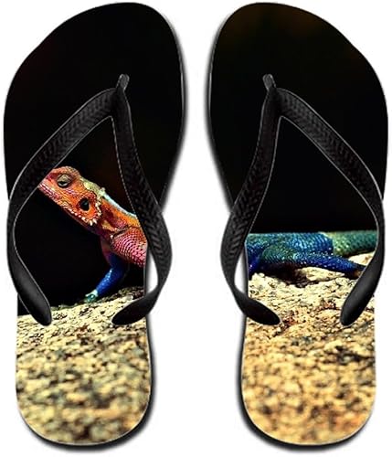 lizard flip flops