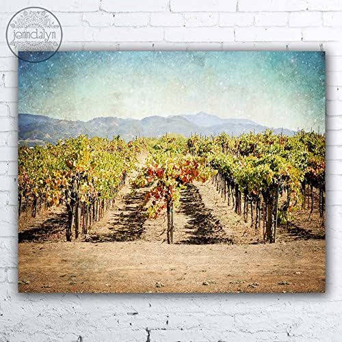 "The Vineyard" PHOTOGRAPH wine country wall art