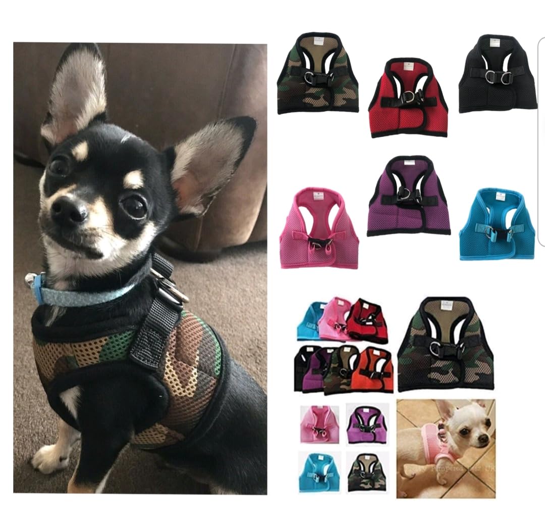 XXXS XXS XS Tiny Teacup Chihuahua Puppy Dog Harness with Clip for TINY Teacup Miniature Breeds Kitten Yorkie Maltese Terrior Puppy Dogs (XXS - Chest 26-30cm, Black)