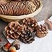 CEWOR 110pcs Artificial Acorns and Pinecones Ornament Set for Crafting, Wedding, House, Autumn Party Hanging Decor
