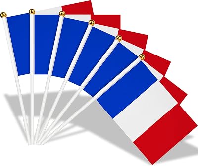 AhfuLife 15 Pcs France Flags on Sticks 14x21cm 30cm Pole Party Decor