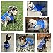 Dog Cooling Vest,Swamp Cooler Jacket for pet,Pet Cooling Coat for Small and Medium Dogs (M,2pack)