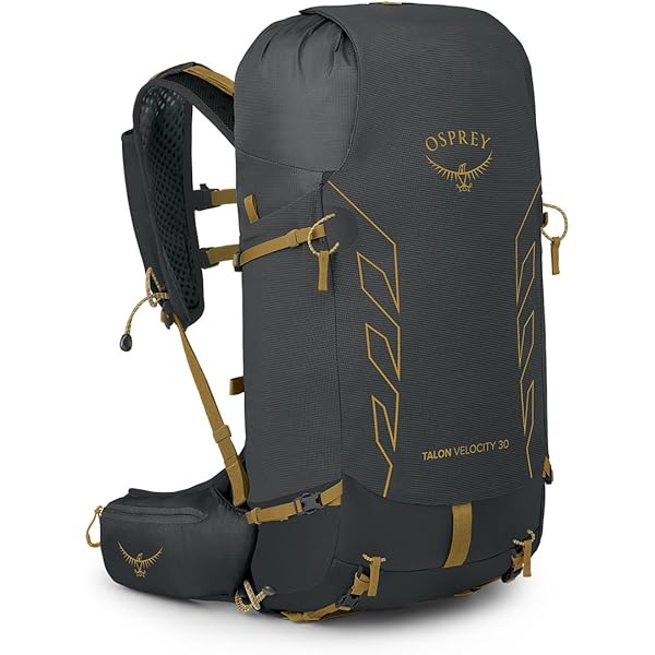 Amazon.com : Osprey Talon Velocity 20L Men's Hiking Backpack, Dark