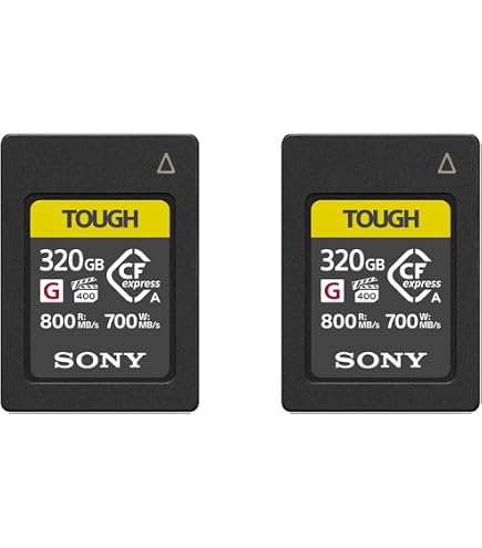 Amazon.com: Sony 2 Pack CEA-G Series Tough 320GB CFexpress Type-A