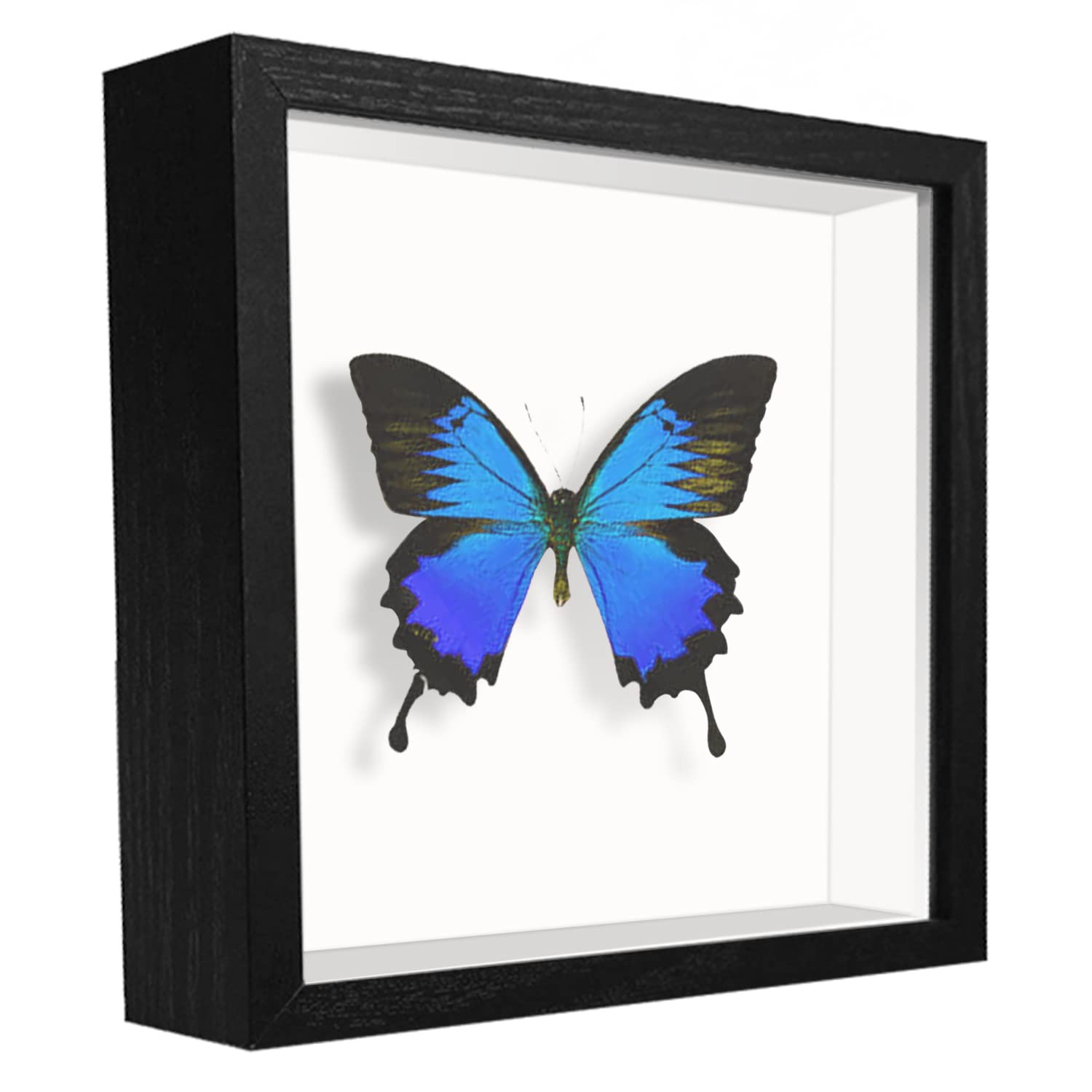 sunmeg 3D Shadow Box 5x5 Picture Frame Wooden Deep Box Display Personalised Photo Frames for Crafts, Anniversary, Wedding, Graduation