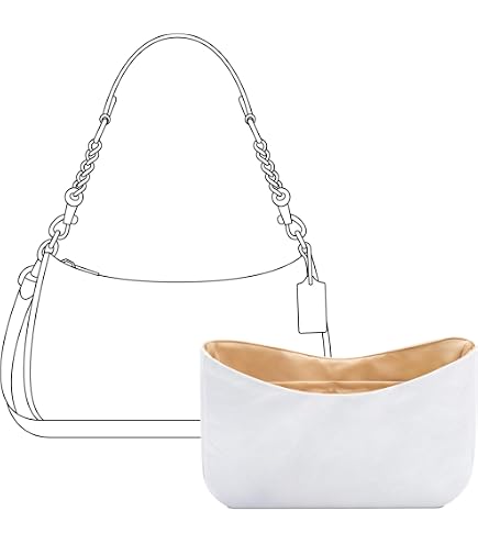 Amazon.com: FANJI Project Purse Organizer Insert for COACH Teri