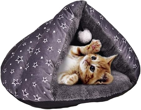 Odbicie Aparat Fotograficzny Mila Morska Couchage Chat Amazon Crisisresiliencesurvival Com