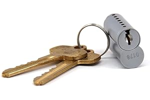 Best Style IC Core Lock Cylinder Pinned with Control Key