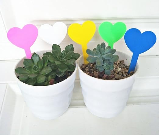 Whthteey - Etiqueta de plástico para plantas, diseño de corazón ...