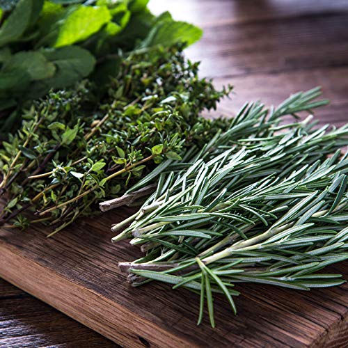 Assortment of 12 Culinary Herb Seeds - Non-GMO | Grow Cooking Herbs: Parsley, Thyme, Cilantro, Basil, Dill, Oregano, Sage & More