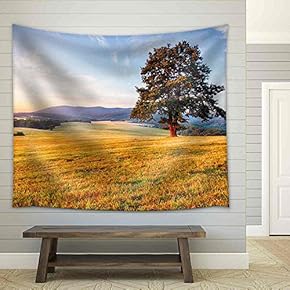 Spring Landscape with Tree and Sun - Fabric Wall Tapestry Home Decor - 51x60 inches
