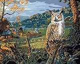 Plaid Creates Paint by Number Kit (16 by 20-Inch), 21799 Edge of The Night Art