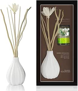 Amazon.com: ap airpleasure Dried Flower Reed Diffuser Set, Natural ...