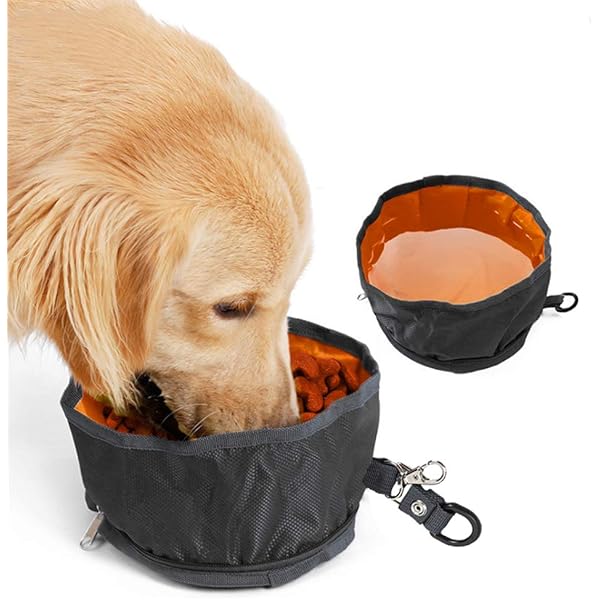 large collapsible dog bowl