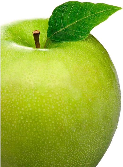 Amazon Com Wee Blue Coo Green Apple Fruit Food Kitchen Unframed