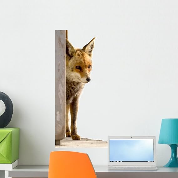 Amazon.com: Wallmonkeys FOT-3009837-24 WM68112 Fox Peel and Stick Wall