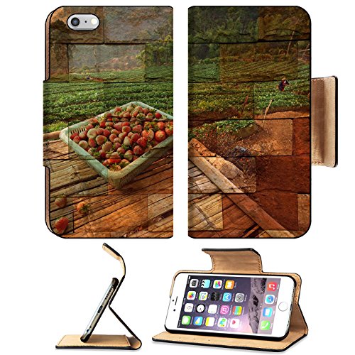 MSD Premium Apple iPhone 6 Plus iPhone 6S Plus Flip Pu Leather Wallet Case IMAGE ID: 35263769 strawberry field in Chiang Mai Thailand Mural The stone painting concept - Thumbnail 6