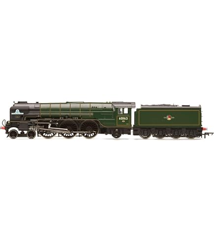 Amazon.com: Hornby Electric Train - R30424 GNER Class 91 Reverend