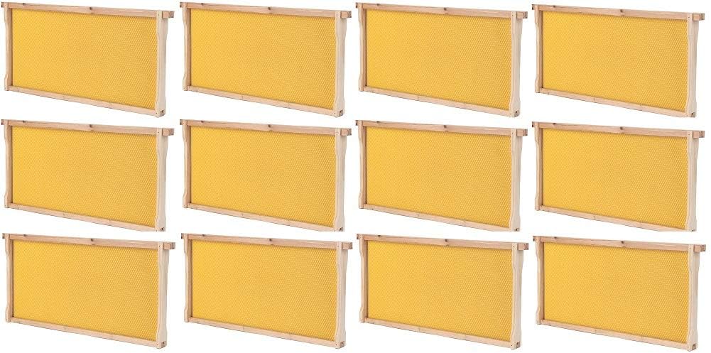 SummerHawk Ranch Frame Bees 9 5/8" Deep Frame and Foundation (12-Pack)