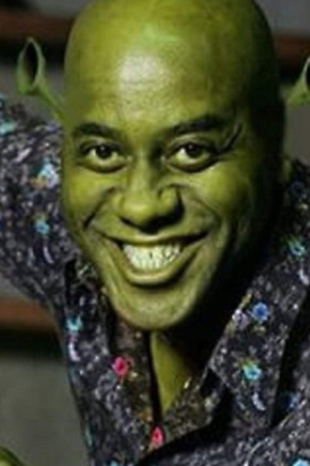 Shrek Ainsley: 120 Page notebook