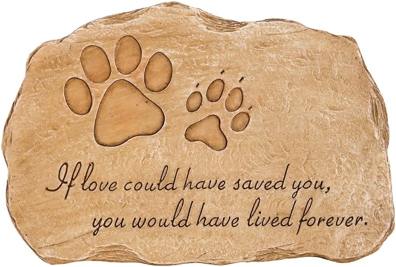 Hardscaping Materials - Evergreen Pet Paw Print If Love Could Have Saved You Garden Memorial Stone | Outdoor Safe | 12-Inch | Rainbow Bridge | Rememberance for Lost Love One